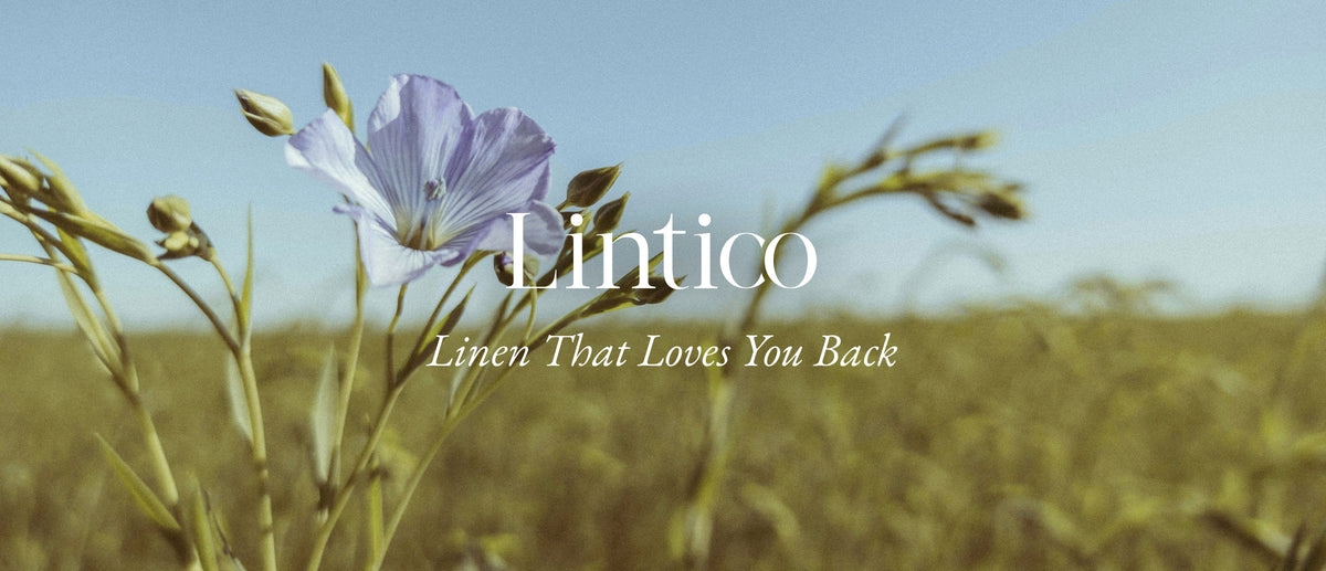 LINTICO | Cozy Linen Wear for a Healthy and Effortless Lifestyle