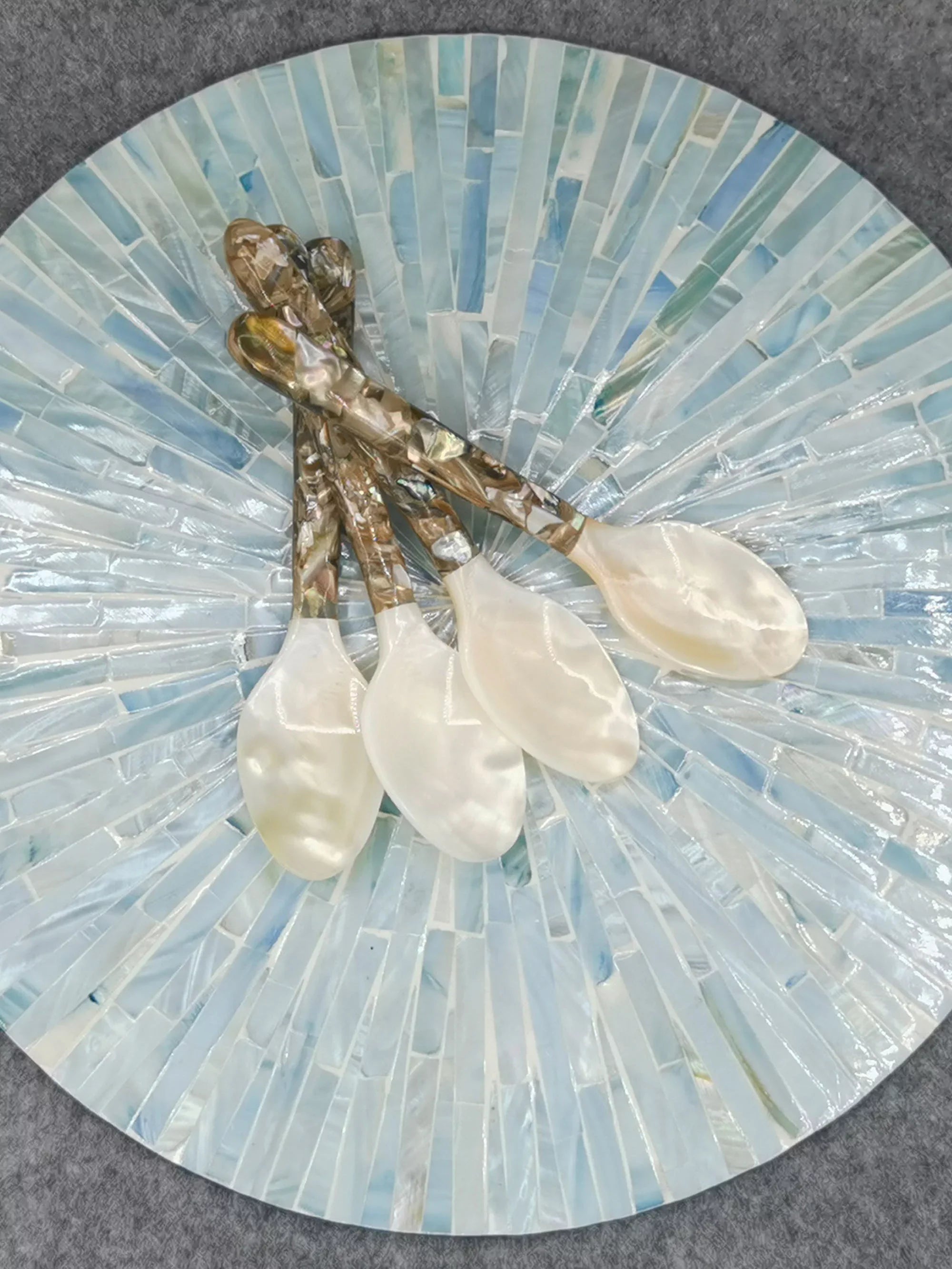NATURAL CONCH SHELL SPOON STIRRING UTENSIL