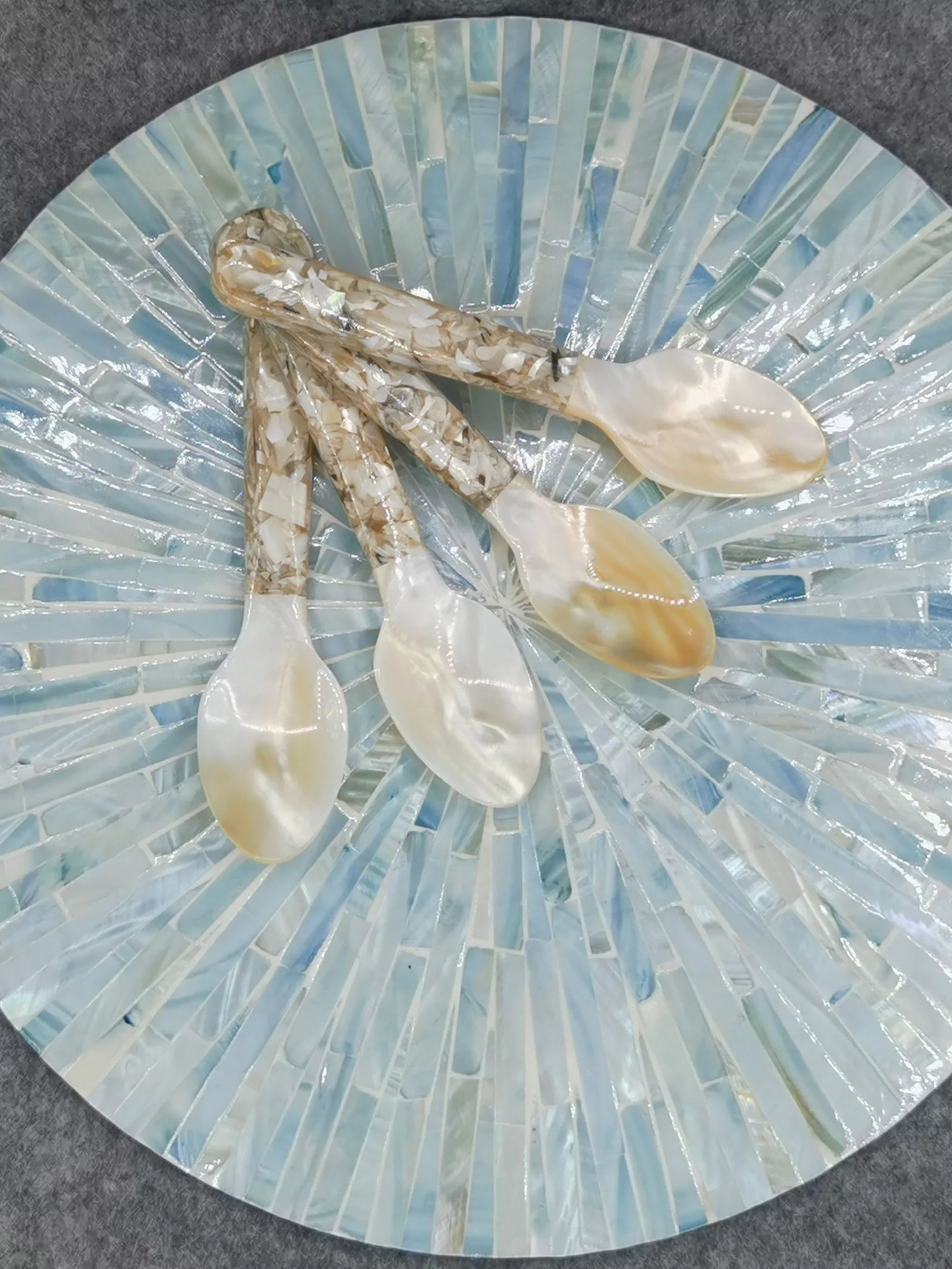 NATURAL CONCH SHELL SPOON STIRRING UTENSIL