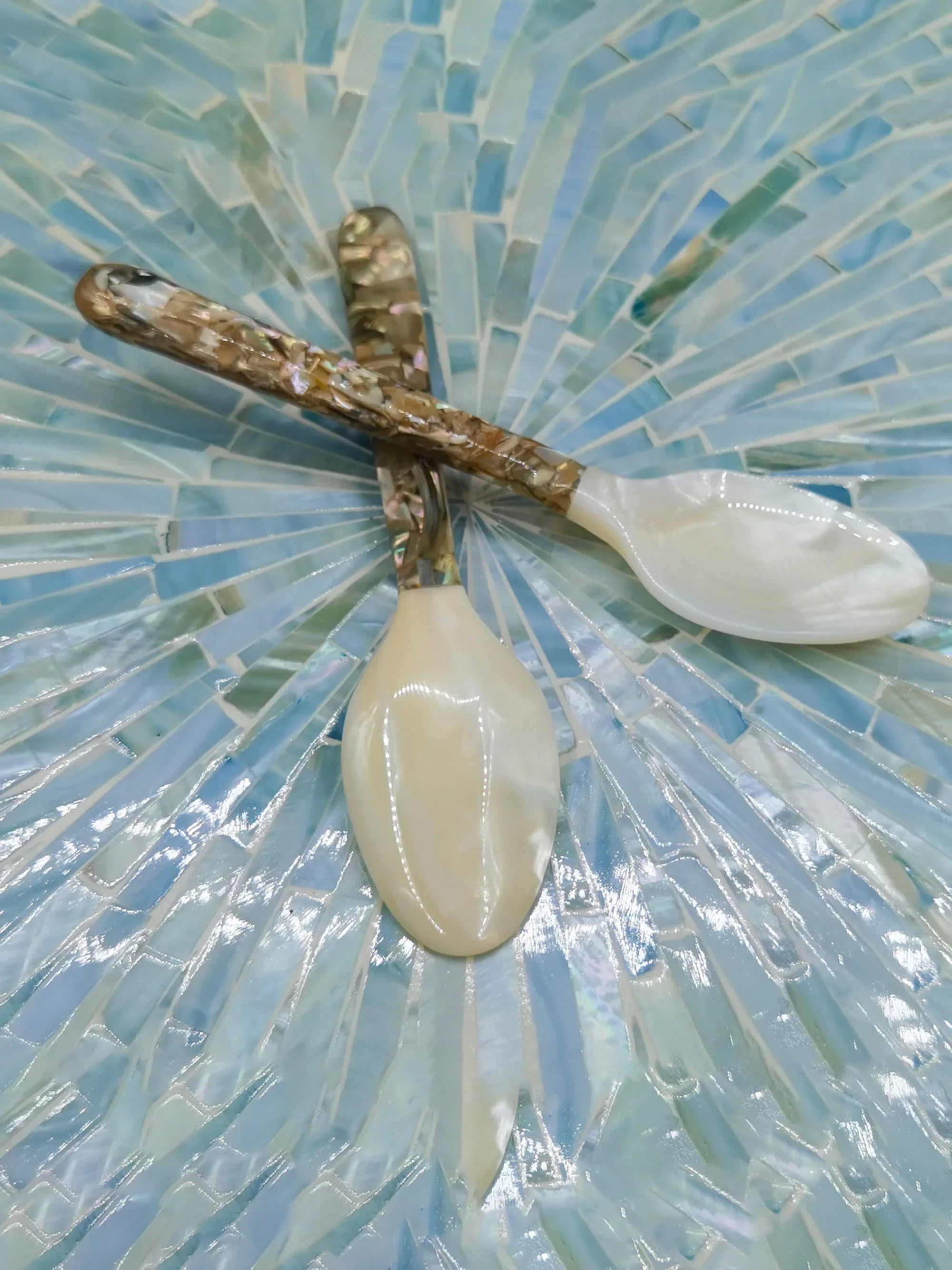 NATURAL CONCH SHELL SPOON STIRRING UTENSIL