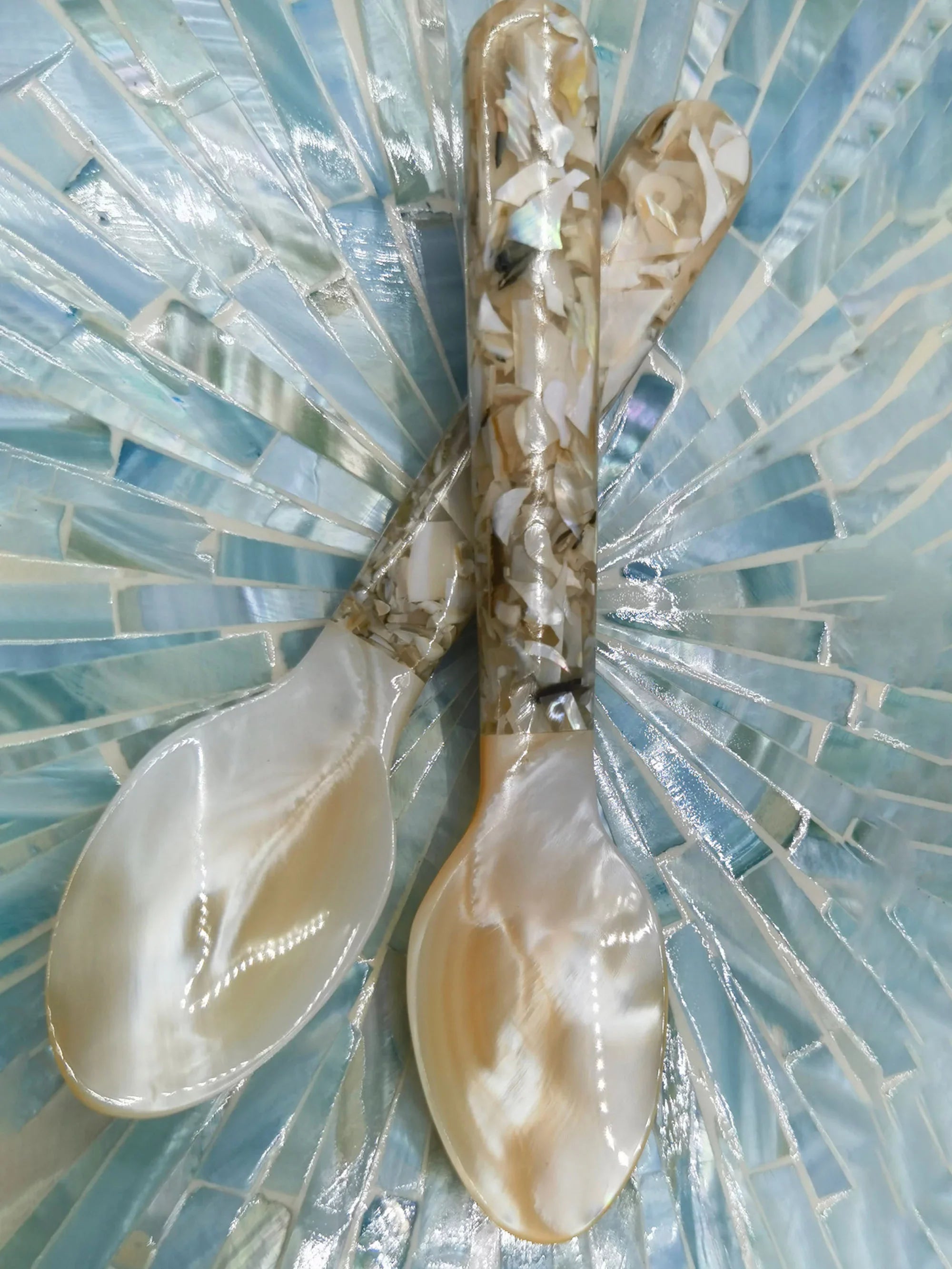 NATURAL CONCH SHELL SPOON STIRRING UTENSIL