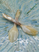 NATURAL CONCH SHELL SPOON STIRRING UTENSIL